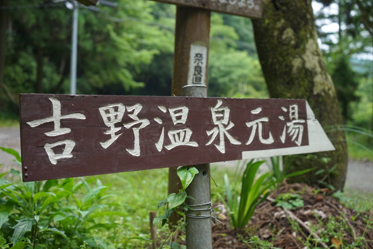 奈良県吉野温泉元湯へ日帰り旅行!アクセスやおすすめのランチなど
